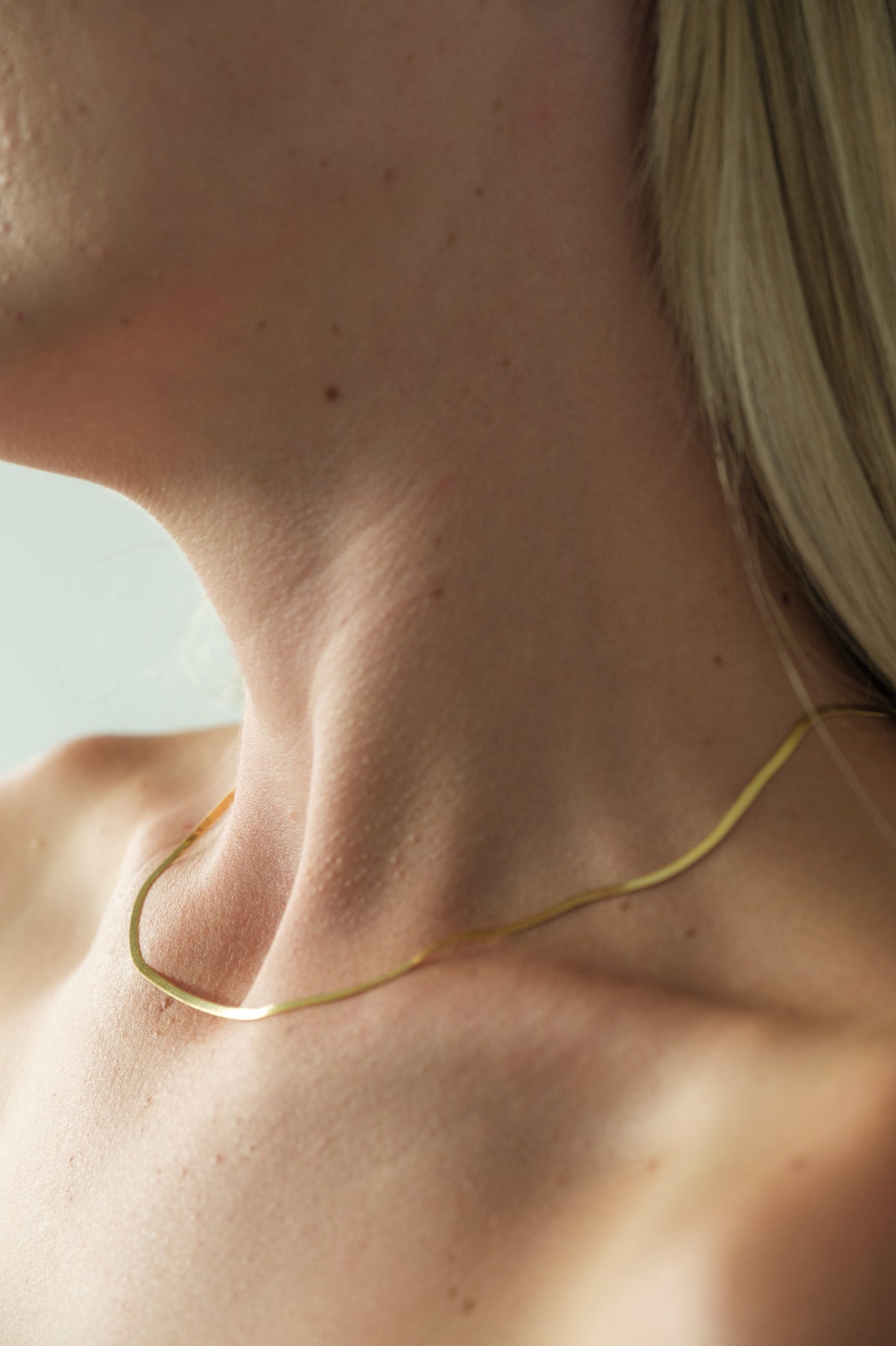 Sol Herringbone Choker Necklace