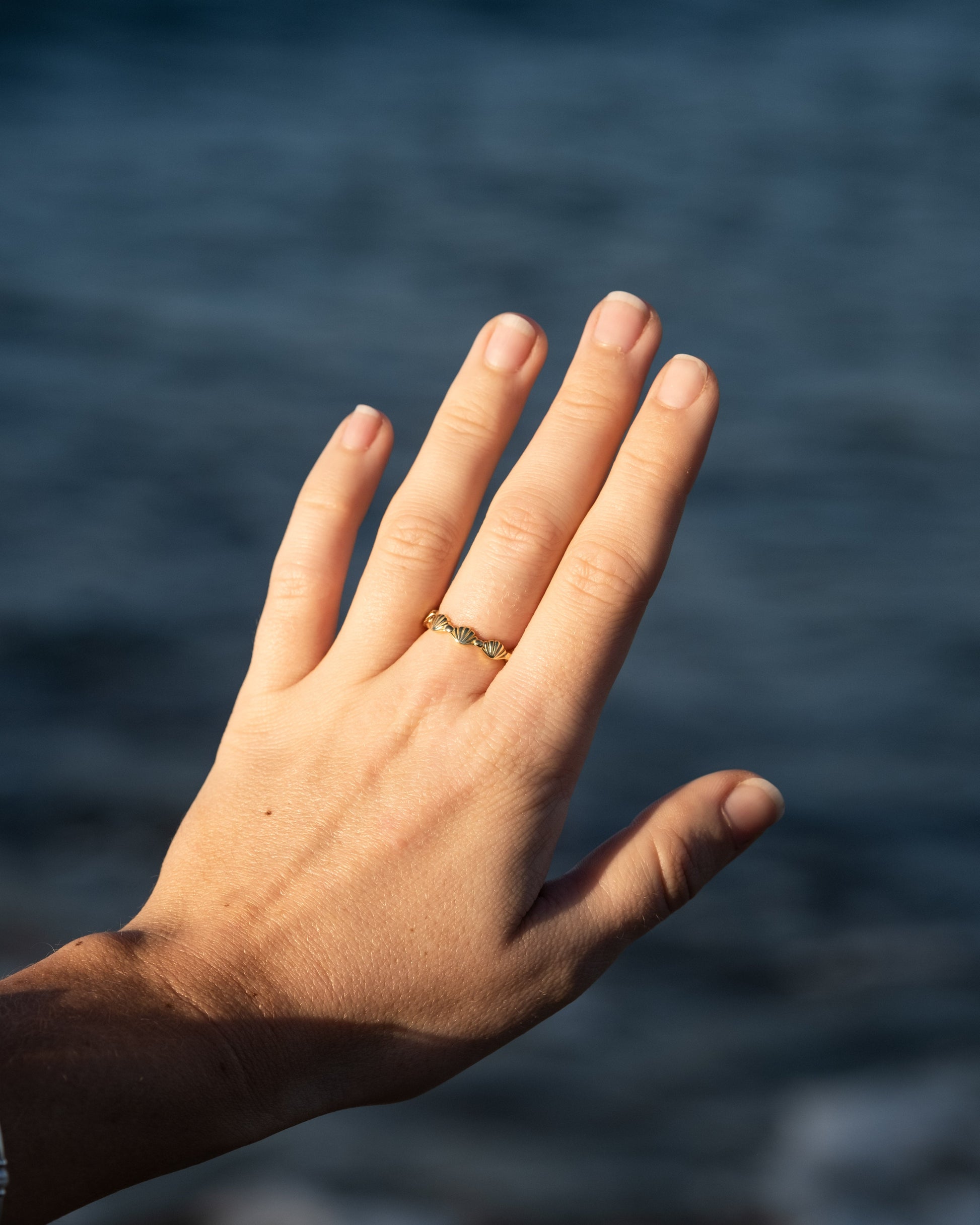 Shell Ring - Gold