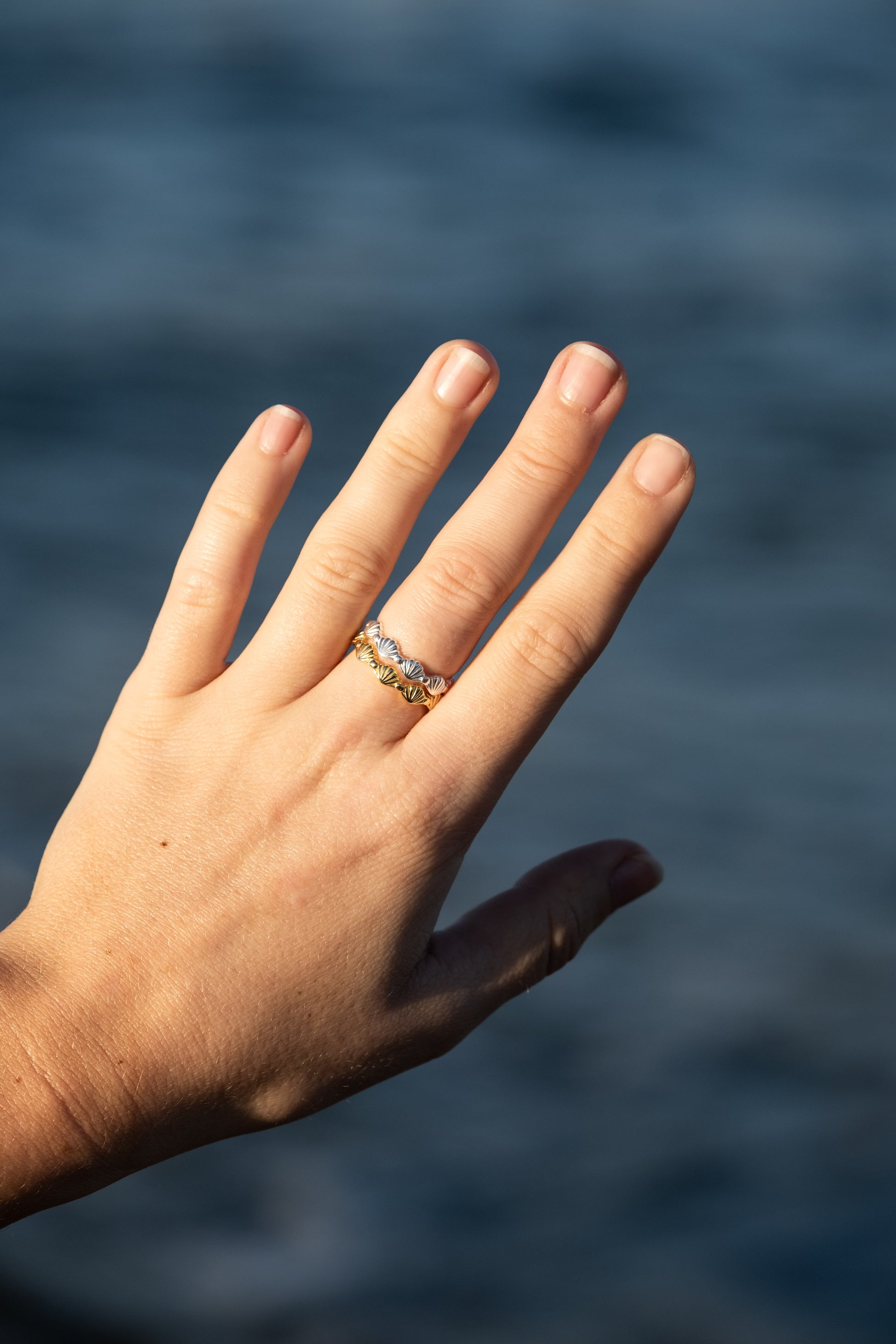 Shell Ring - Gold